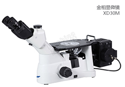 XD30M金相显微镜 